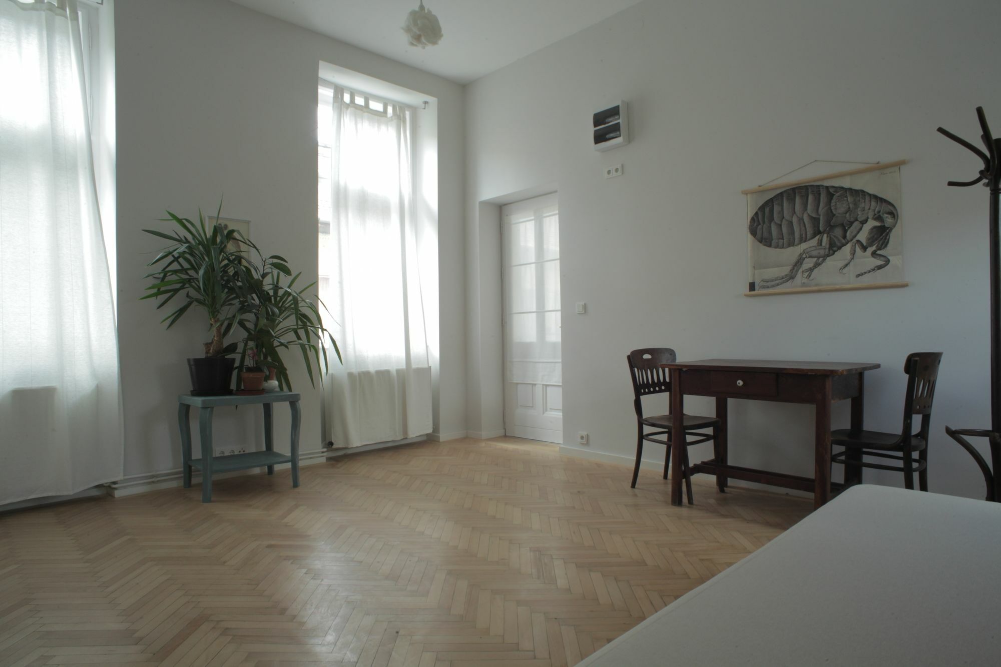 Bpm-Apartment Charm And Le Petit Budapest Luaran gambar